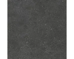 Wand- En Vloertegel Alpen Graphit 60x60 Cm Gerectificeerd