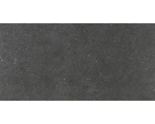 Wand- En Vloertegel Alpen Graphit 60x120 Cm Gerectificeerd