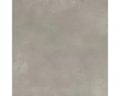 Wand- En Vloertegel Abstrakt Greige 60x60 Cm Gerectificeerd