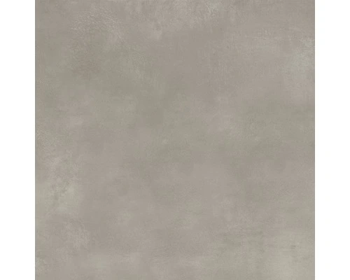 Wand- En Vloertegel Abstrakt Greige 60x60 Cm Gerectificeerd