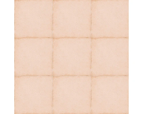 Wand- En Vloertegel Anuvo Coral Pink 20x20 Cm