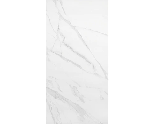 Wand- En Vloertegel Calacatta Polished 120x60 Cm Gerectificeerd