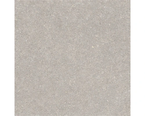 Wand- En Vloertegel Bulgaria Pearl Mat 60,8x60,8 Cm