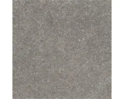 Wand- En Vloertegel Bulgaria Grey Mat 60,8x60,8 Cm