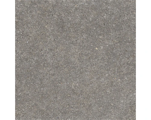 Wand- En Vloertegel Bulgaria Grey Mat 60,8x60,8 Cm