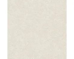 Wand- En Vloertegel Bulgaria Beige Mat 60,8x60,8 Cm
