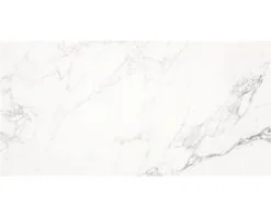 Wand- En Vloertegel Sab White Gepolijst 60x120 Cm Gerectificeerd