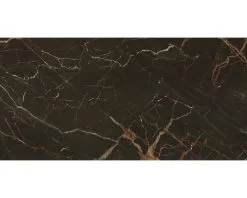 Wand- En Vloertegel Exe Brown Gepolijst 60x120 Cm Gerectificeerd