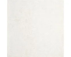 Wand- En Vloertegel Zyron White Mat 60x60 Cm Gerectificeerd