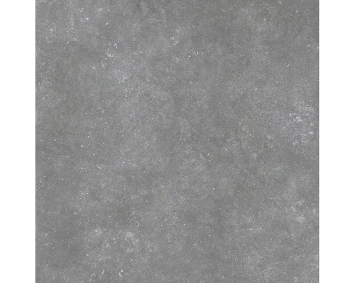 Wand- En Vloertegel Belstone Silver 60x60 Cm Gerectificeerd