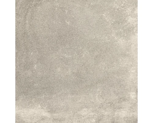 Wand- En Vloertegel Nilson Taupe 60x60 Cm Gerectificeerd