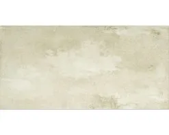 Wand- En Vloertegel Elements Wit/grijs Mat 30x60 Cm Gerectificeerd