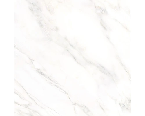 Wand- En Vloertegel Premium Calacatta 78x78 Cm