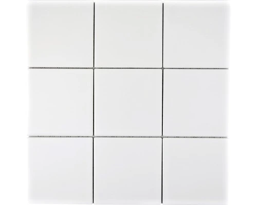 Keramisch Mozaïek CQ 105 Uni Wit Mat 30x30 Cm